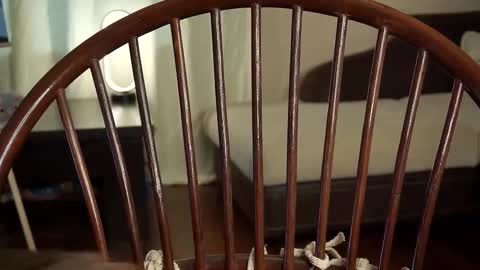 Snapshot of lyle_art chatting on February 27, 6:18 am hi im Lyle online show from February 27, 6:18 am