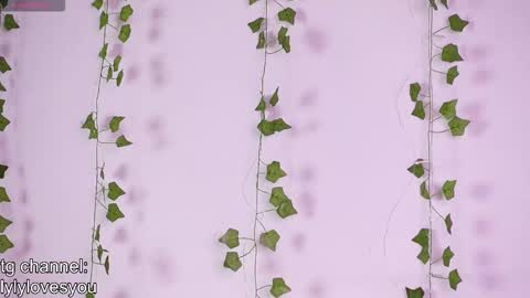 Lyly   online show from November 18, 5:34 am