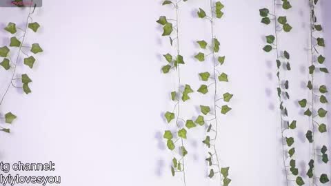 Lyly   online show from January 17, 5:45 am