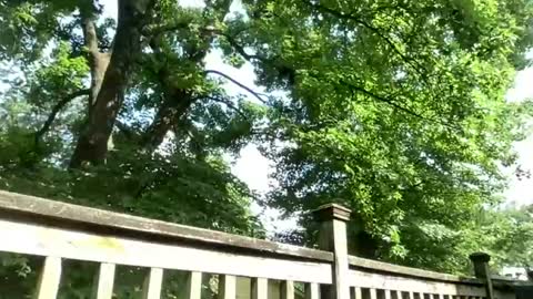 Snapshot of m4st3rmarcus chatting on July 7, 2:32 pm Marcus Black online show from July 7, 2:32 pm