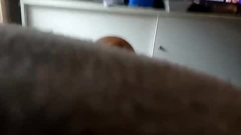 Snapshot of mace141414 chatting on September 26, 9:41 pm MACE online show from September 26, 9:41 pm