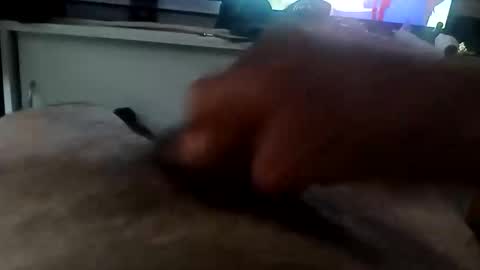 Snapshot of mace141414 chatting on December 16, 7:30 pm MACE online show from December 16, 7:30 pm