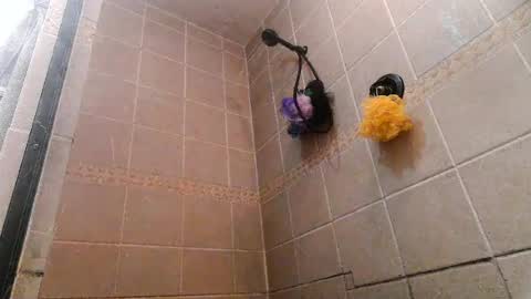 Snapshot of mace_shwanger chatting on July 1, 7:57 pm Mace Shwanger online show from July 1, 7:57 pm