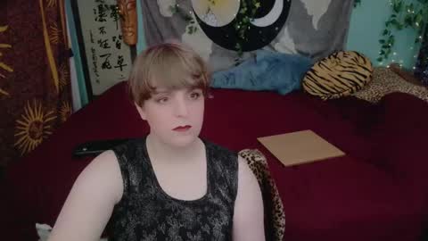 Snapshot of maddy_cat chatting on October 27, 4:22 pm Maddy Cat online show from October 27, 4:22 pm