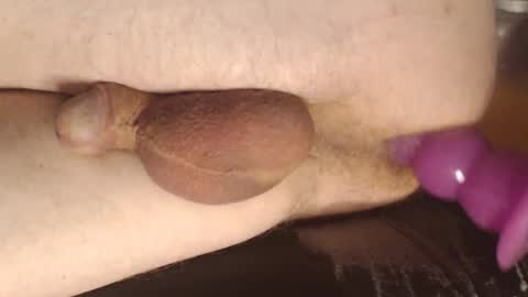 maestro2017 online show from March 7, 11:49 pm