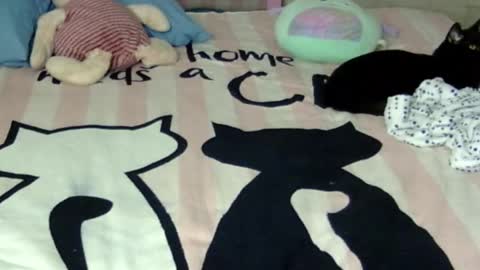 maferchavez88 online show from January 17, 3:11 am