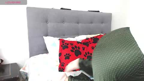 Snapshot of magic_stephany__ chatting on February 4, 1:28 pm magic_stephany__ online show from February 4, 1:28 pm