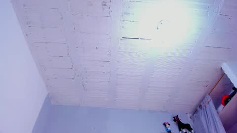 Magnus King online show from September 17, 12:07 pm