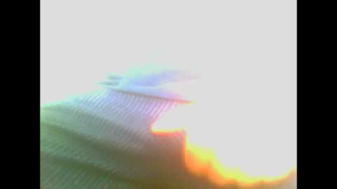 Snapshot of maioris6 chatting on February 22, 8:07 am maioris6 online show from February 22, 8:07 am