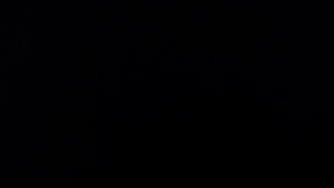 Alice Asylum online show from November 16, 3:45 am