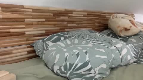 mamattv online show from January 12, 9:47 am