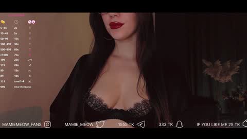 Snapshot of mamiemeow chatting on January 22, 3:40 pm Your Miss Alice online show from January 22, 3:40 pm