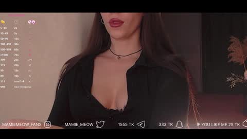 Snapshot of mamiemeow chatting on February 6, 2:48 pm Your Miss Alice online show from February 6, 2:48 pm