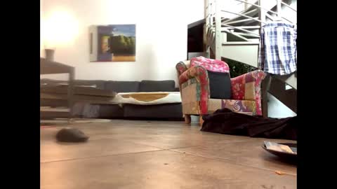 man38110 online show from February 14, 6:51 pm