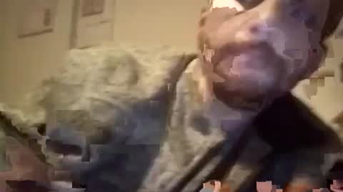 Snapshot of maniaksfucker chatting on January 18, 7:38 am LANGERFICK online show from January 18, 7:38 am