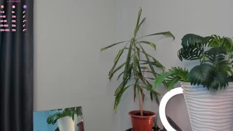 Snapshot of manita_misti chatting on May 5, 10:01 am Manita online show from May 5, 10:01 am