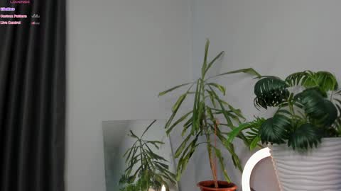 Snapshot of manita_misti chatting on May 8, 9:25 am Manita online show from May 8, 9:25 am
