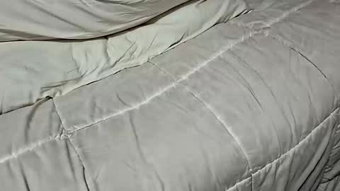 Snapshot of manlymanson chatting on November 17, 8:42 am Dickinabox online show from November 17, 8:42 am