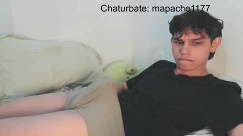 Snapshot of mapache1177 chatting on April 6, 5:36 pm mapache1177 online show from April 6, 5:36 pm