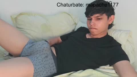 Snapshot of mapache1177 chatting on April 9, 12:54 am mapache1177 online show from April 9, 12:54 am