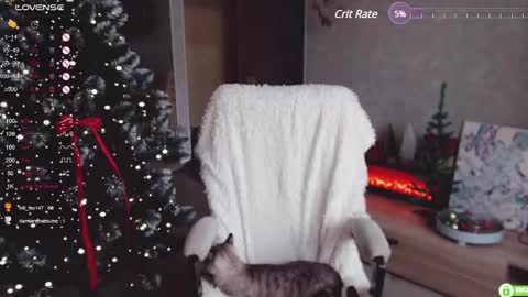 Marcy online show from December 5, 6:10 am