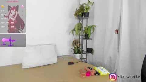 marioandmia online show from March 8, 6:39 am