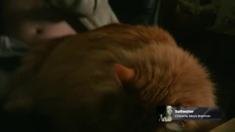 marnieccc online show from February 21, 4:35 am