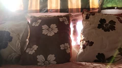 Snapshot of marocreda33 chatting on December 24, 11:17 am marocreda33 online show from December 24, 11:17 am