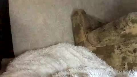 Marta online show from November 27, 7:54 am