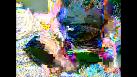 Snapshot of marthabriest chatting on November 6, 7:09 am Martha online show from November 6, 7:09 am