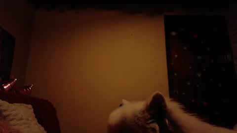 Snapshot of maryberry__ chatting on June 28, 7:47 am online show from June 28, 7:47 am