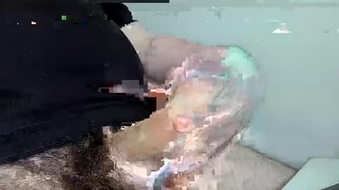 mas12345678910 online show from December 1, 4:29 pm