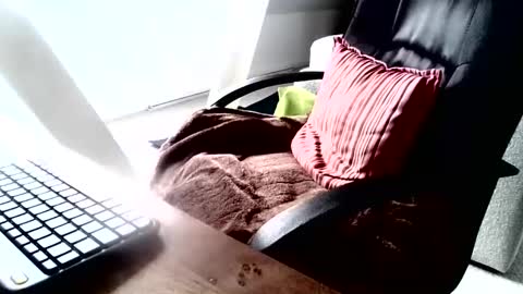 Snapshot of maskime59 chatting on December 9, 9:06 am maskime59 online show from December 9, 9:06 am