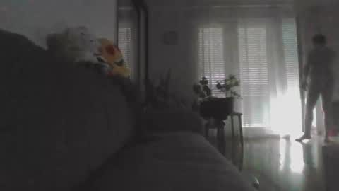 Nikola online show from May 24, 1:49 pm