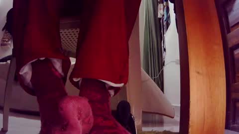 Snapshot of master_cospi96 chatting on July 24, 6:33 am Master Cospi online show from July 24, 6:33 am