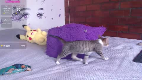 Mature liaa online show from November 19, 3:34 pm