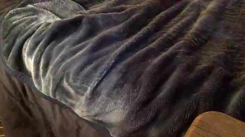 Snapshot of mauriciano2018 chatting on October 9, 3:59 am Ignacio online show from October 9, 3:59 am