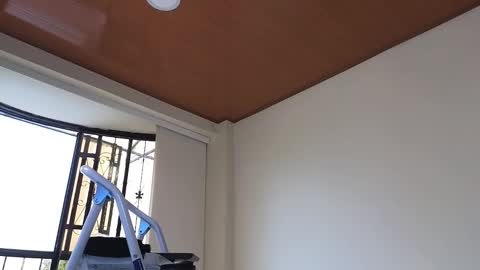 Sebastian online show from December 30, 7:32 pm