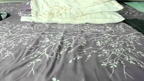 Snapshot of maybelline_666 chatting on October 28, 9:17 pm Maybelline69 online show from October 28, 9:17 pm