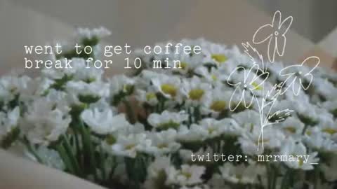 Mary  . online show from July 1, 6:26 am
