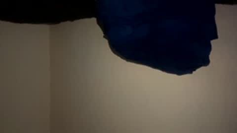 mb99667788 online show from March 21, 10:46 pm