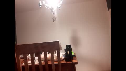 Snapshot of mccock16cm chatting on February 16, 3:47 am mccock16cm online show from February 16, 3:47 am