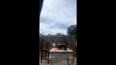 mcdanielx4209 online show from June 6, 11:20 pm