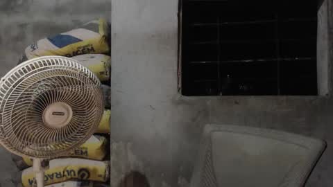 Mcgregor online show from October 22, 2:56 am