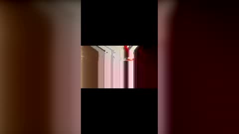 mcgriffwes2 online show from February 12, 2:17 am