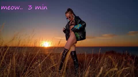 Sweet Meow nonude online show from November 17, 1:00 am