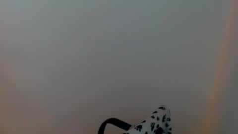 Snapshot of meg4nmiau chatting on July 29, 3:43 pm Meg4n Miauuuu online show from July 29, 3:43 pm