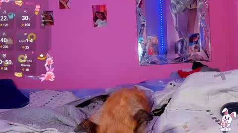 Snapshot of mejialuisa0142 chatting on March 2, 6:16 am Luisa online show from March 2, 6:16 am