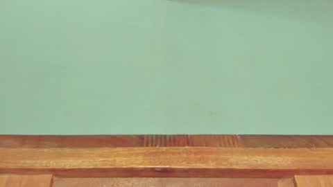 Melania online show from March 1, 12:34 pm