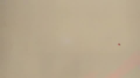 Snapshot of melanie__evans chatting on May 12, 10:56 am melanie__evans online show from May 12, 10:56 am